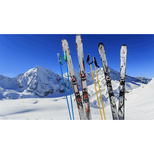 Vintersport